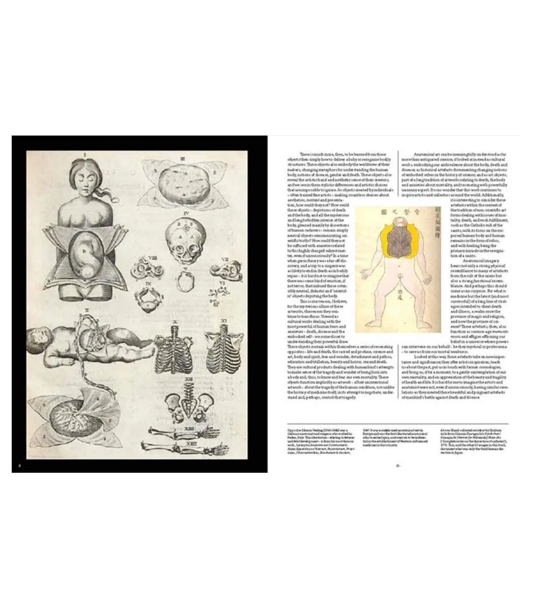 Anatomica, The Exquisite and Unsettling Art of Human Anatomy