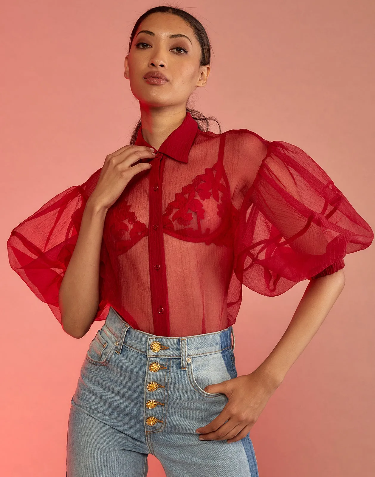 Sheer Bliss Blouse