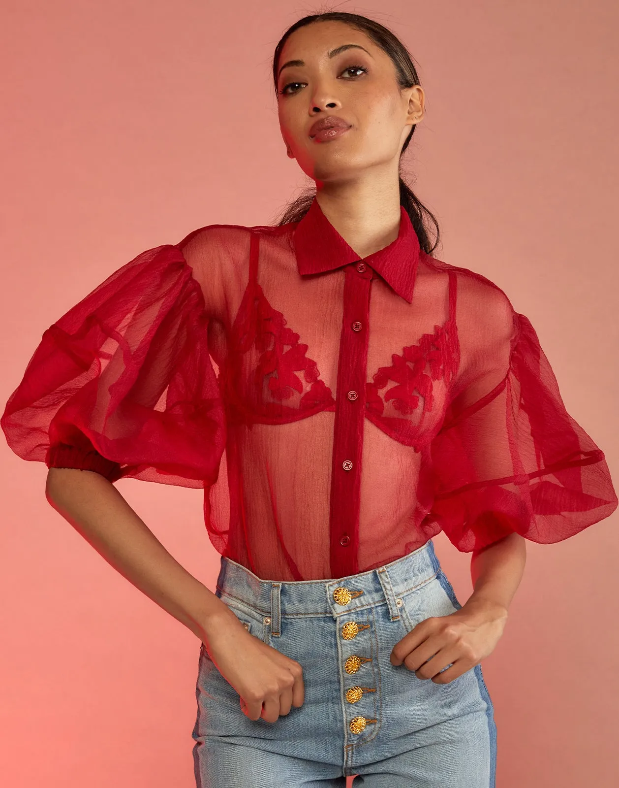 Sheer Bliss Blouse